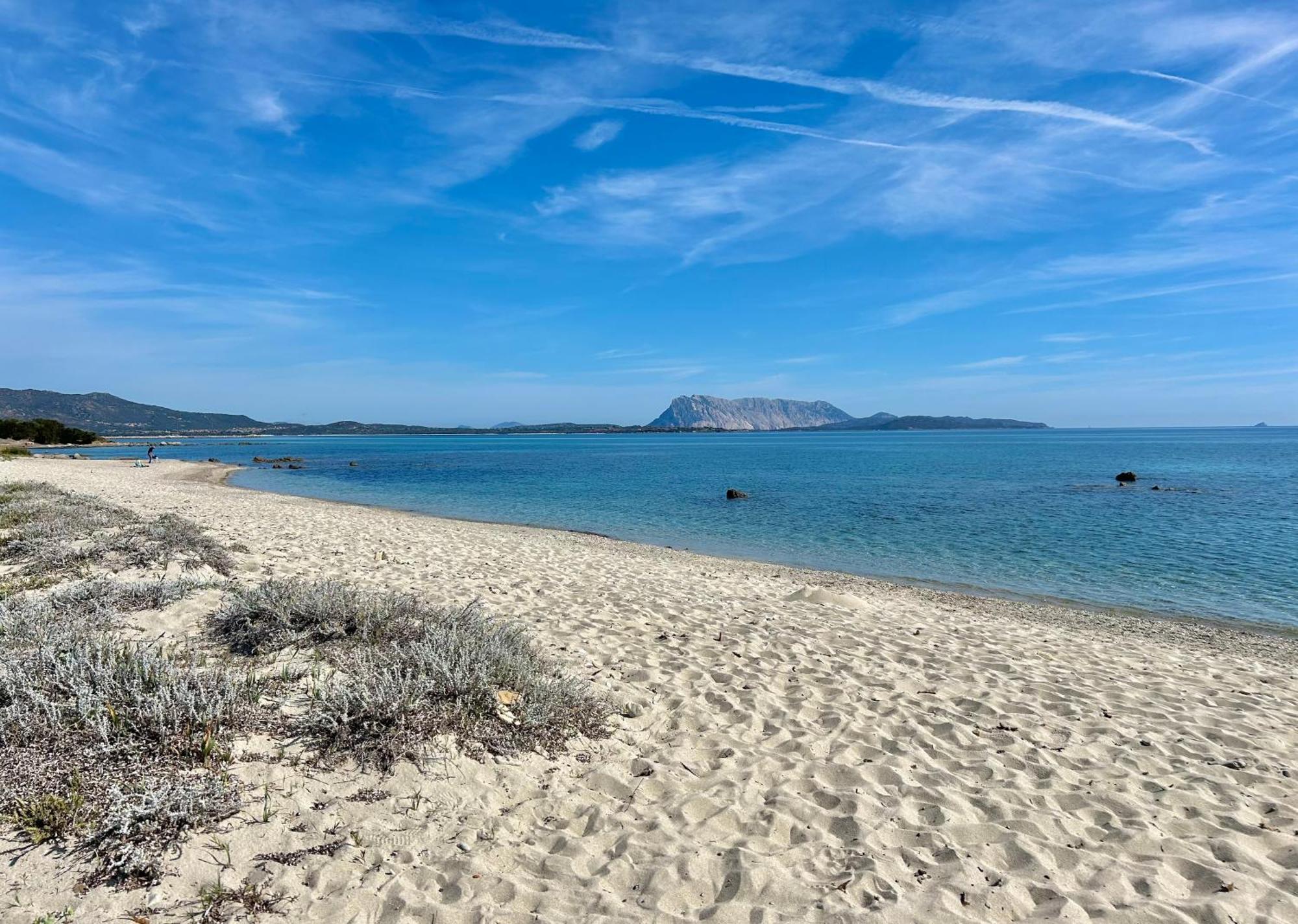 Iss Travel, San Teodoro 1 - 100 M From Cala D'Ambra Beach Eksteriør billede